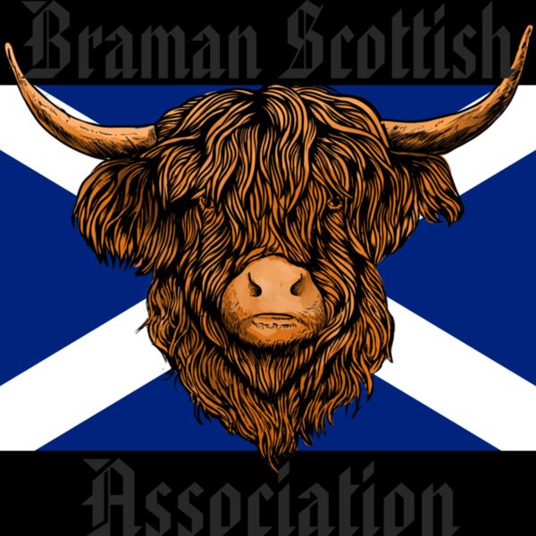 Scottish Cow Flag  Thumbnail
